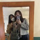 크림데이