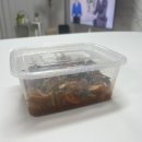 행복찬카페