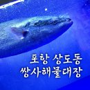 주정차-38 | 포항쌍사술집 - (쓰끼다시 다양한) 해물대장 다녀온 후기