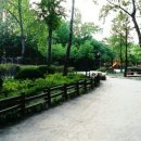 양재시민의숲 테니스장 이미지