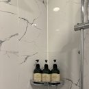 완도파인비치호텔 | 강릉 세인트존스호텔 솔직후기 | 반려동물동반 오션뷰 숙소&amp;파인인피니티풀 후기