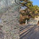 대둔산농장 이미지