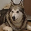 이성재농장 이미지