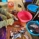 아주낚시민박 | 울진 낚시공원 낚시터 펜션 백암온천 불영계곡 근처 1박 후기