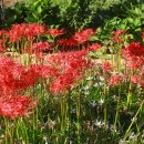 가야농장 이미지