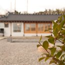 종달새 노래할 때 이미지