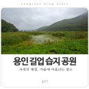운학동 돌무지군 이미지