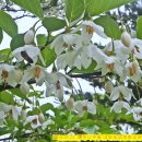 대화농업체험공원 이미지