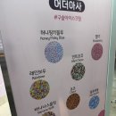 어더아사 - 김포시 김포한강9로 83 | 울산 성남동 구슬아이스크림 "어더아사" 내돈내산후기 구슬아이스크림 종류 사이즈 가격