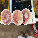 하동시장1 | 부전시장 횟집 가성비 회포장 하동횟집 방어 밀치 2만원 내돈내산 후기