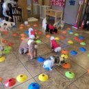 행복한개 이미지