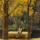 시루봉여관 | 주왕산 국립공원 : 가을 여행지 주왕산 (등산코스, 시간, 단풍시기, 맛집, 스탬프 투어, 페어플레이 후기)