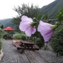 개울민박 이미지