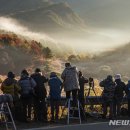 비밀의정원 이미지