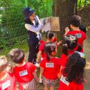 오금숲어린이집 이미지