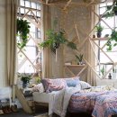 플랜테리어 이미지