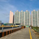 남부운전면허시험장 기능장 이미지