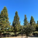 죽백근린공원2 이미지