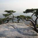 동산시계