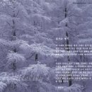 즐거운 시낭송 이미지