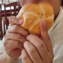 스타지물인테리어 | (오스트리아 여행) 빈 먹거리, 맛집후기 - 가성비는 글쎄...?