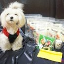 까까주까 이미지