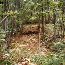 창원 웅천빙고지 이미지