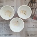 월남농장 이미지