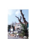 주남마을경로당 이미지