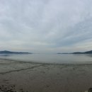 해안서로 이미지