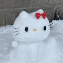 금계삼계탕 | 안기고싶은 자들 여기로 모여라