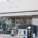 천리향한의원 | 구월동로데오꽃집 클로리스플라워 시엄마생신선물 화분구매