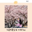 카페이띠