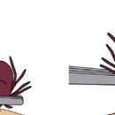 여수동물약국 이미지