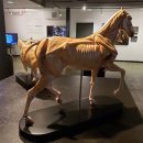 에쿠우스 이미지