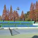 창원시립테니스장 코트장 이미지