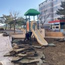 포항양덕초등학교 이미지