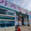 독도참가자미 이미지