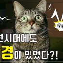 플로렌스안경 이미지