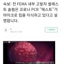 속보: 전 FEMA 내부 고발자 셀레스트 솔럼은 코로나 PCR "테스트"가 마이크로 칩을 이식하고 있다고 설명합니다. 이미지