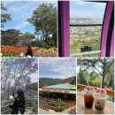 죽림선원 | [달랏] 케이블카 왕복 이용 / 죽림선원(죽림사) 후기