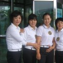 핑크 스파이더 이미지