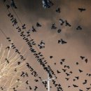 아주대 삼거리 이미지