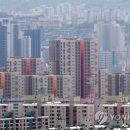 태풍공인중개사사무소 이미지