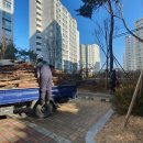 소나무병원 이미지