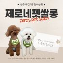 두꺼비로78번길(1-12) 이미지