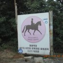 대원목장 이미지