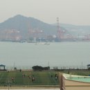 한찬식 시비 Daum카페