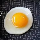 계란후라이 이미지