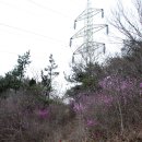 영취산 진달래 산행 후기